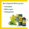 Gastricholan L liquido, 30 ml