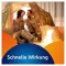 VOLTAREN Dolo Liquid 25 mg capsule molli, 20 pz
