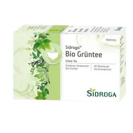 SIDROGA bustina filtro di tè verde Wellness, 20X1,7 g