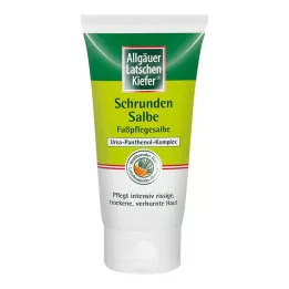 ALLGÄUER LATSCHENK. Unguento per pelle screpolata LK-Arancia, 75 ml