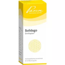 SOLIDAGO SIMILIAPLEX Gocce, 50 ml