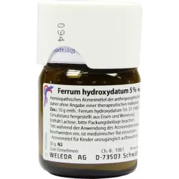 FERRUM HYDROXYDATUM triturazione al 5%, 50 g