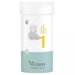 BIOCHEMIE Gesso dellaratore 1 Calcium fluoratum D 12 tbl, 400 pz