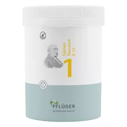 BIOCHEMIE Gesso dellaratore 1 Calcium fluoratum D 12 tbl, 1000 pz