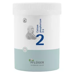 BIOCHEMIE Gesso dellaratore 2 Calcium phosphoricum D 6 tbl, 1000 pz