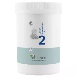BIOCHEMIE Gesso dellaratore 2 Calcium phosphoricum D 6 tbl, 4000 pz