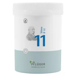 BIOCHEMIE Ploughmans Plaster 11 Silicea D 12 Compresse, 1000 pz
