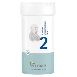 BIOCHEMIE Gesso dellaratore 2 Calcio fosforico D 6 polvere, 100 g