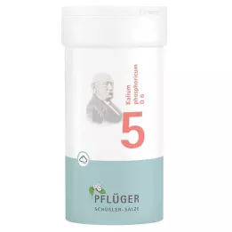 BIOCHEMIE Gesso dellaratore 5 Kalium phosphoricum D 6 Polvere, 100 g