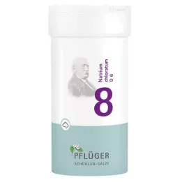 BIOCHEMIE Gesso dellaratore 8 Natrium chloratum D 6 polvere, 100 g