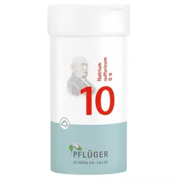 BIOCHEMIE Gesso dellaratore 10 Natrium sulphuricum D 6 polvere, 100 g