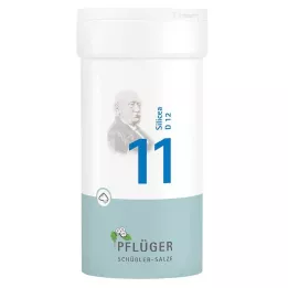 BIOCHEMIE Ploughmans 11 Silicea D 12 Polvere, 100 g