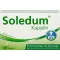 SOLEDUM 100 mg capsule rivestite con enterici, 100 pz