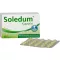 SOLEDUM 100 mg capsule rivestite con enterici, 100 pz