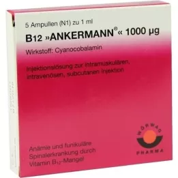 B12 ANKERMANN 1.000 μg Fiale, 5X1 ml