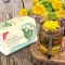 H&S Sacchetto filtrante Dandelion, 20X2,0 g