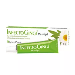 INFECTOGINGI Gel per la bocca, 6 g