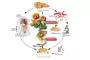 Instructions for use for ANGOCIN Compresse rivestite con film N anti-infezione, 500 pz - 5