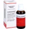 EUPATORIUM N Oligoplex Liquidum, 50 ml