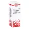 Asterias Rubens D6 Diluizione (20 ml)