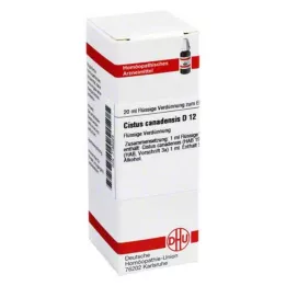 DHU Cistus canadensis D 12 Diluizione, 20 ml
