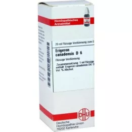 Erigeron Canadensis D6 Diluizione (20 ml)