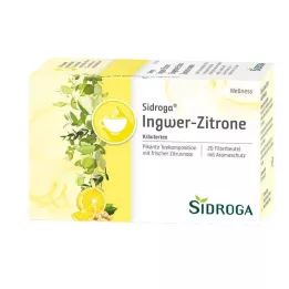 SIDROGA Bustina di filtro di tè Wellness allo zenzero e limone, 20X2,0 g