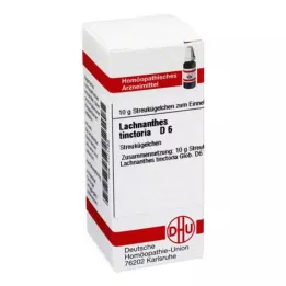 DHU Lachnanthes tinctoria D 6 globuli, 10 g
