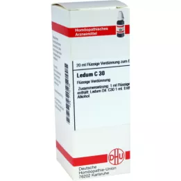 LEDUM Diluizione C 30, 20 ml