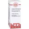 PANAX GINSENG D 12 Diluizione, 20 ml