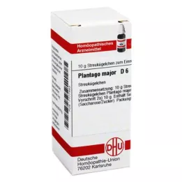 DHU Plantago Major D 6 globuli, 10 g