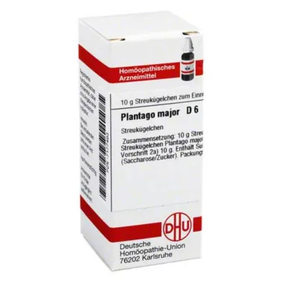 PLANTAGO MAJOR D 6 globuli, 10 g