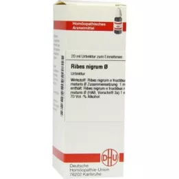 RIBES NIGRUM tintura madre, 20 ml
