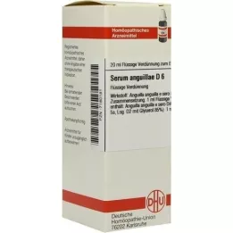 SERUM ANGUILLAE D 6 Diluizione, 20 ml