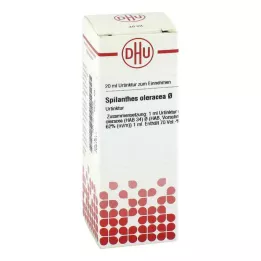 Tintura madre di Spilanthes Oleracea = D1 (20 ml)