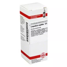 DHU Lespedeza capitata D 6 Diluizione, 20 ml