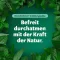 Bronchoforton® unguento, 100 g