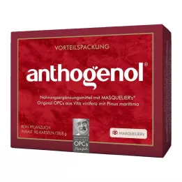OPC ORIGINAL Masqueliers Anthogenol Capsule, 90 Capsule