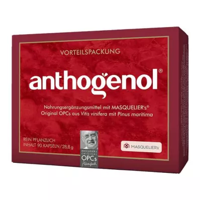 OPC ORIGINAL Masqueliers Anthogenol Capsule, 90 Capsule