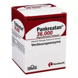 PANKREATAN 36.000 capsule rigide con rivestimento enterico, 50 pz