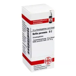 DHU Bellis perennis D 2 globuli, 10 g