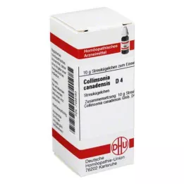 DHU Collinsonia canadensis D 4 G, 10 g