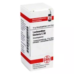DHU Lachnanthes tinctoria C 30 globuli, 10 g