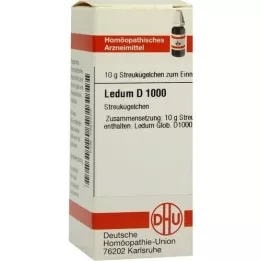 LEDUM D 1000 globuli, 10 g