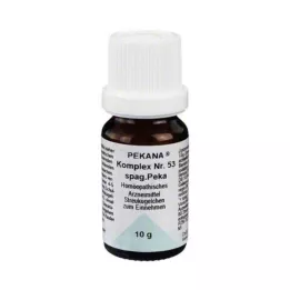 PEKANA Complesso n. 53 Globuli, 10 g
