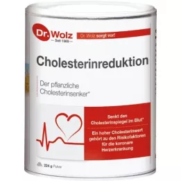 CHOLESTERINREDUKTION Polvere Dr.Wolz, 224 g