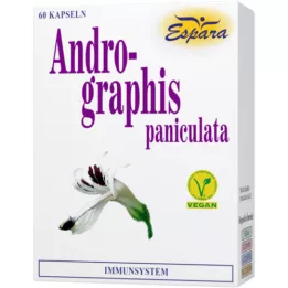 ANDROGRAPHIS capsule di paniculata, 60 pezzi