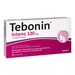 TEBONIN compresse intensive da 120 mg rivestite con film, 30 pz