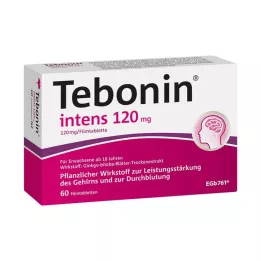 TEBONIN compresse intensive da 120 mg rivestite con film, 60 pz