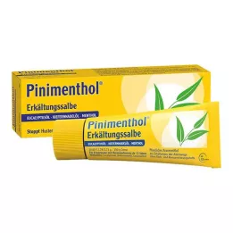 PINIMENTHOL Unguento freddo Eucal./Pine./Menth., 50 g